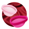 Intimina Ziggy Cup 2 A Menstrual Cup